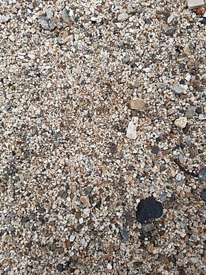 Archivo:Varieties of Gravel in different shapes and size. 01