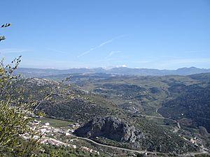 Archivo:Vista superior de Benaojan y sierra de Ronda - panoramio