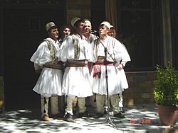 A traditional male folk group from Skrapar.JPG