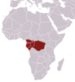 African Linsang area