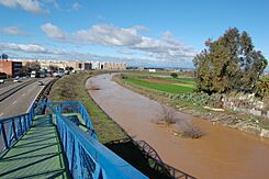 Arroyo Tamarguillo - panoramio.jpg