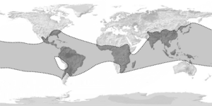 Archivo:Bambusoideae World map