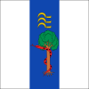 Bandera de Lences (Burgos).svg