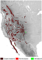 Bighorn Sheep Ovis canadensis distribution map topo 2