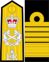 British Royal Navy OF-10-collected.svg
