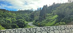 Carretera PR-715, Cayey, Puerto Rico.jpg