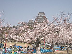 Castle Himeji sakura02.jpg