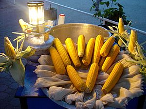 Archivo:Corn 01623 Nevit