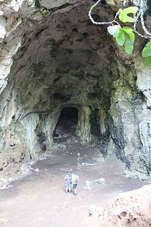Archivo:Cova des Coloms es Migjorn Gran