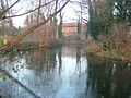 DartfordDarent3795