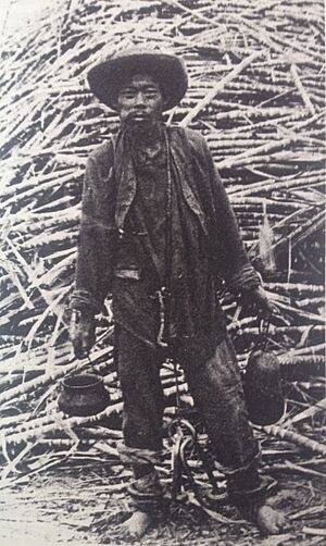Archivo:Enslaved Chinese coolie in Peru 1881