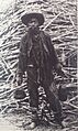 Enslaved Chinese coolie in Peru 1881