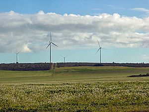 Archivo:Geraldton Wind Farms DSC04308
