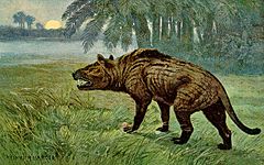 Hyaenodon Heinrich Harder.jpeg