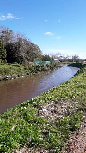 Archivo:IMG-20190619-WA0044