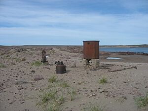 Archivo:Isla Lobos restos factoria