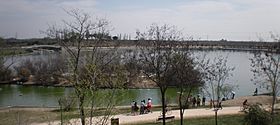 Laguna de Mari Pascuala - Parque de Polvoranca - Madrid - España.jpg