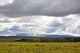 Lluvia Acopan.JPG