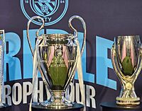 Archivo:Manchester City FC trophies displayed at the Renzo Barbera Stadium 02