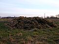 Manure (lorentey)