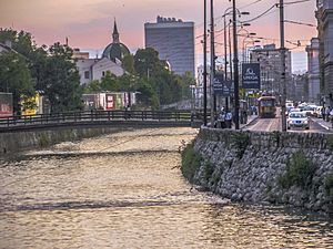 Archivo:Miljacka River sunset