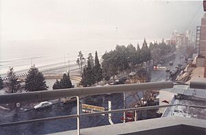 Archivo:Nieve en Puerto Madryn, 1994