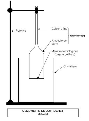 Archivo:Osmomètre de DUTROCHET (Matériel)