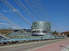 Pontevedra-El Auditorio y el Puente de los tirantes (17128506016)