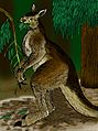 Procoptodon goliah
