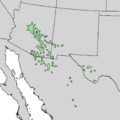 Quercus emoryi range map 1