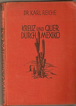 Archivo:Reiches