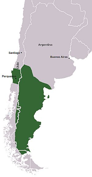 Archivo:Reino de la Araucanía y la Patagonia