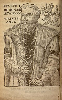 Remberti Dodonaei ... trium priorum de stirpium historia commentariorum imagines ad viuum expressae BHL6726578.jpg