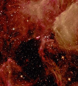 Archivo:Supernova SN1987A in the Large Magellanic Cloud - GPN-2000-000948