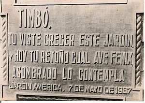 Archivo:Timbó de Jardín América (1987)