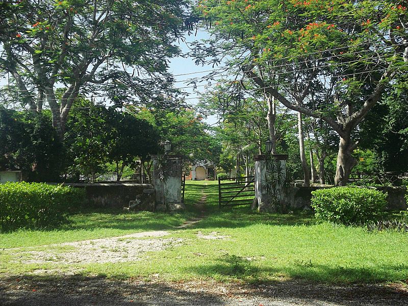 Tohopkú (Tekal de Venegas), Yucatán (03)