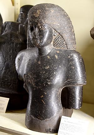 Archivo:Upper part, figure of an official of Amenhotep III, from a double statue. From Bubastis (Tell-Basta), Egypt. From the Amelia Edwards Collection. The Petrie Museum of Egyptian Archaeology, London