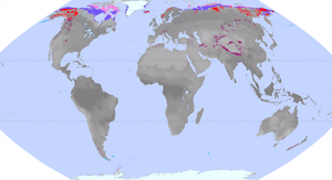 Archivo:Vegetationszone Tundra