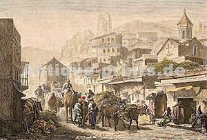 Archivo:View of Tiflis (1881)