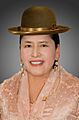 Virginia Velasco Condori. Official portrait, 2020. Chamber of Senators of Bolivia