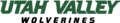 Wolverines wordmark