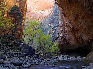 Archivo:Zion Narrows