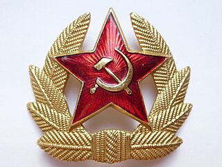 Солдатская советская кокарда.JPG