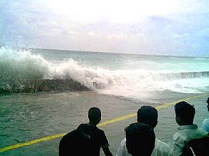Archivo:2004 Indian Ocean earthquake Maldives tsunami wave
