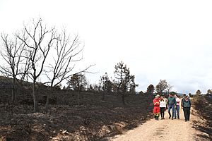 Archivo:2022-06-22, Sánchez visita la Sierra de la Culebra afectada por un incendio, 220622-sanchez-zamora2