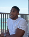 Anthony Joshua 2017