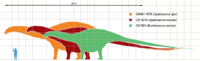 Archivo:Apatosaurus scale mmartyniuk wiki