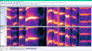 Archivo:Audacity GSnap effect
