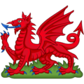 Badge of the Rouge Dragon Pursuivant