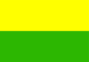 Archivo:Bandera San Martín, Cesar